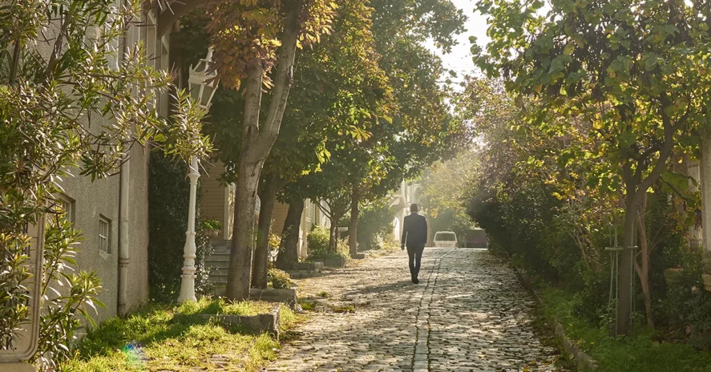 Cesta Roman: A Fresh Look At Timeless Inspiration cesta roman