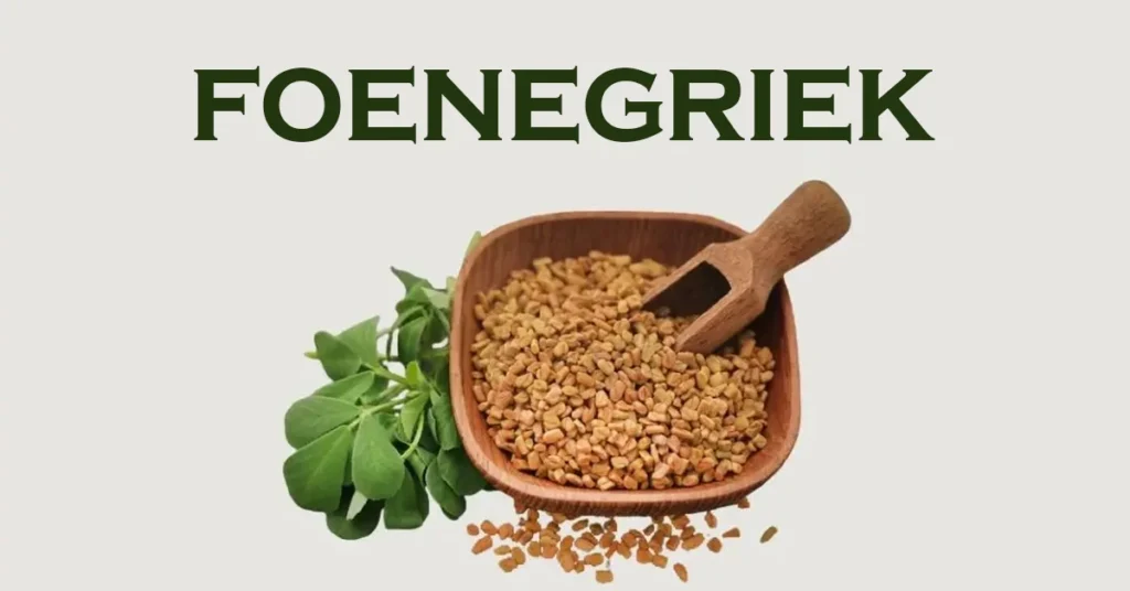 Why Foenegriek Deserves A Spot In Your Kitchen foenegriek